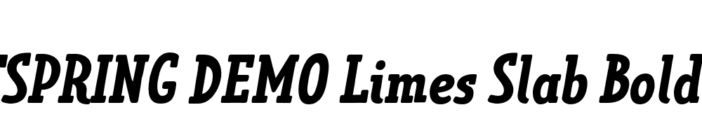  DEMO Limes Slab Bold Italic