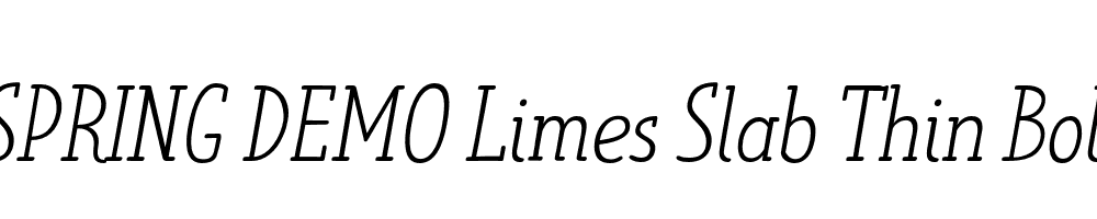  DEMO Limes Slab Thin Bold Italic