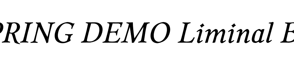  DEMO Liminal Book Italic