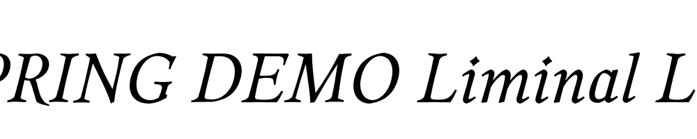  DEMO Liminal Light Italic