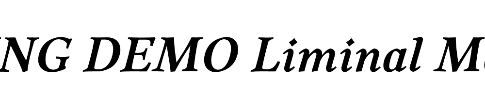  DEMO Liminal Medium Italic