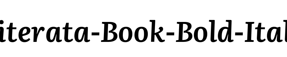 Literata-Book-Bold-Italic