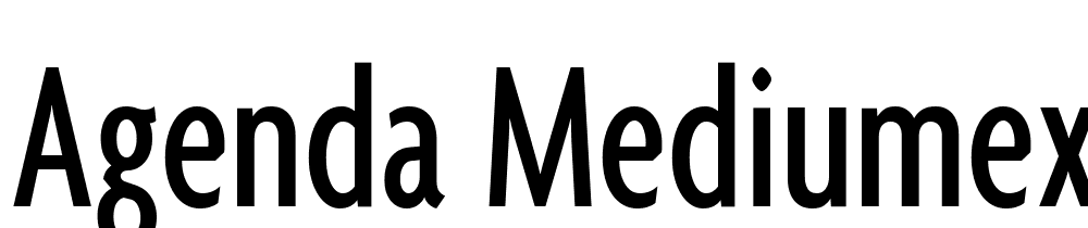 Agenda-MediumExtraCondensed font family download free