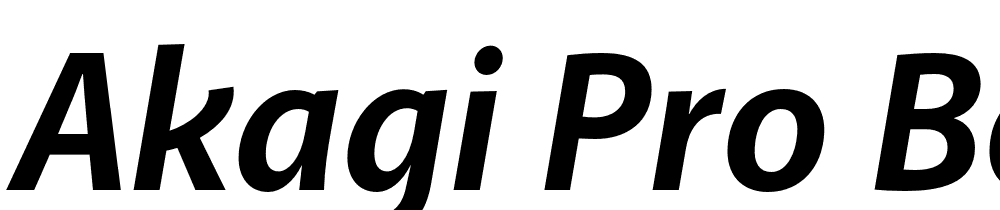 Akagi-Pro-Bold-Italic font family download free