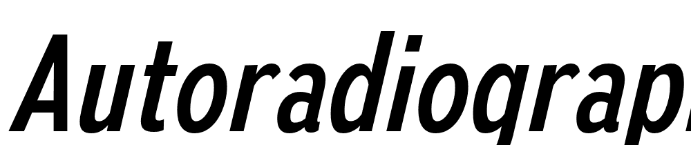AutoradiographicRg-Italic font family download free