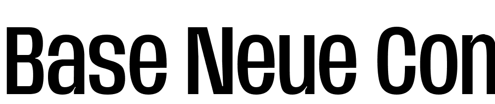 Base-Neue-Condensed-Medium font family download free