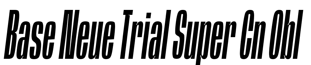 Base-Neue-Trial-Super-Cn-Obl font family download free