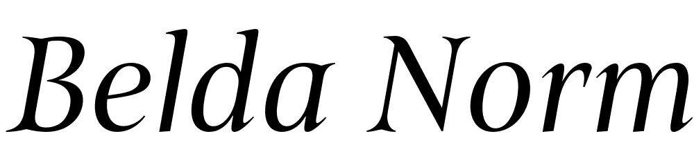 Belda-Norm-Regular-Italic font family download free
