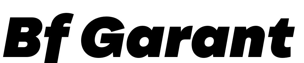 Bf Garant Pro font family download free