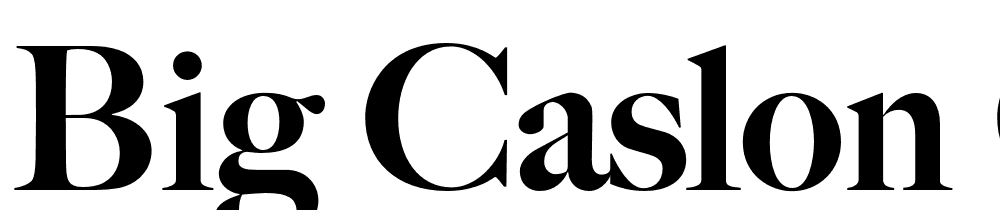 Big-Caslon-CC-Black font family download free