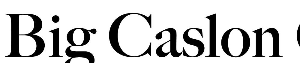 Big-Caslon-CC-Bold font family download free