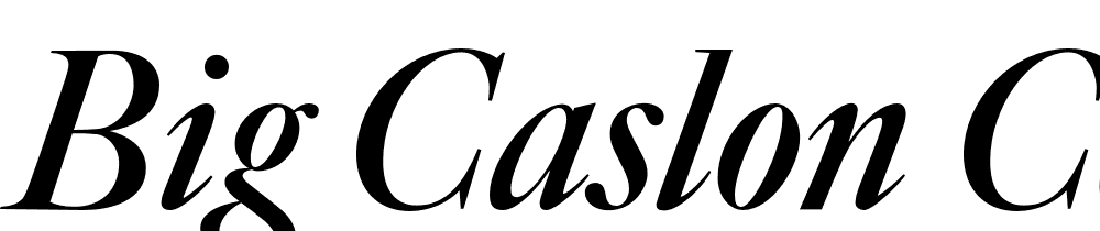 Big-Caslon-CC-Bold-Italic font family download free