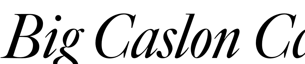 Big-Caslon-CC-Italic font family download free