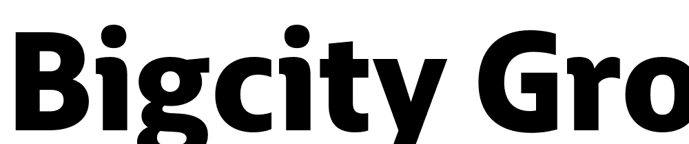 BigCity-Grotesque-Pro-Black font family download free