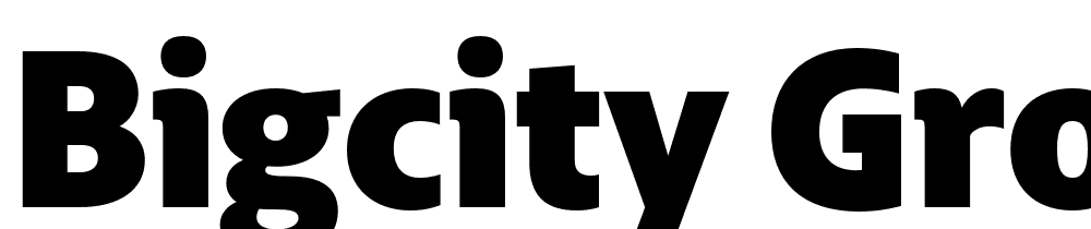 BigCity-Grotesque-Pro-Heavy font family download free