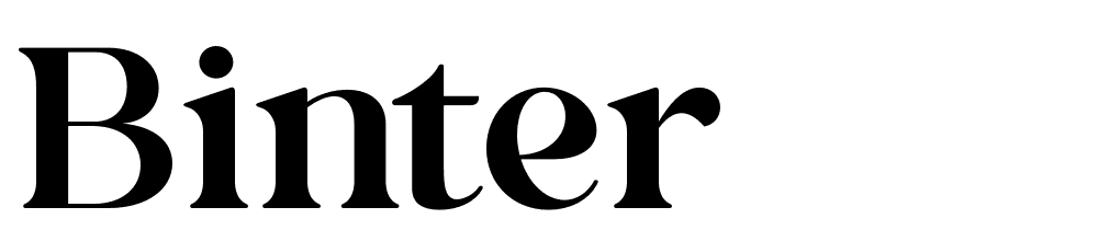 Binter font family download free