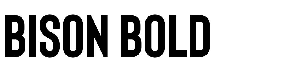 Bison Bold font family download free