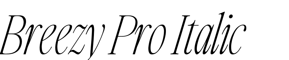 Breezy-Pro-Italic font family download free