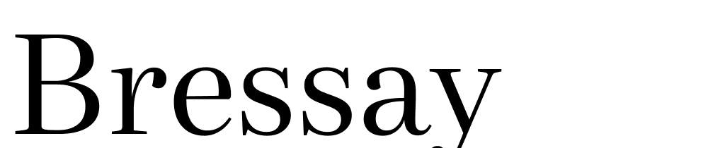 Bressay font family download free