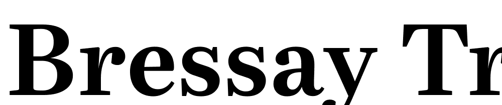 Bressay-Trial-Bold font family download free