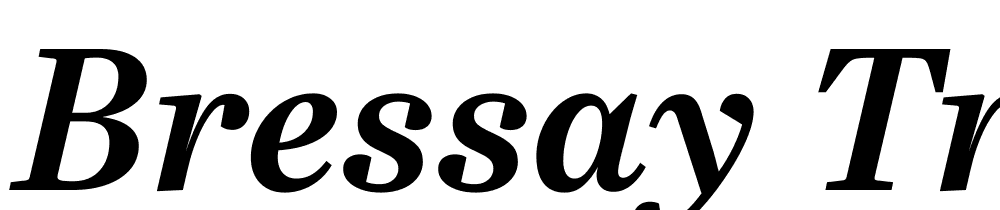 Bressay-Trial-Bold-Italic font family download free