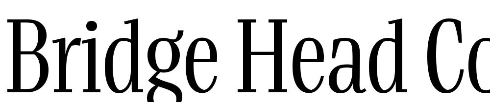 Bridge-Head-Con-Medium font family download free