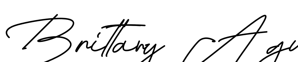 Brittany Agustina font family download free