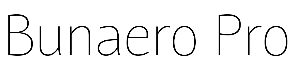 Bunaero Pro font family download free