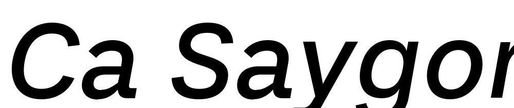 Ca Saygon Text font family download free