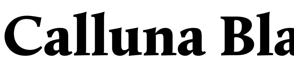 Calluna-Black font family download free