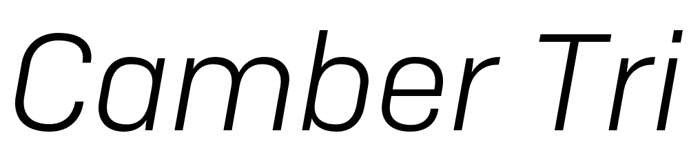 Camber-TRIAL-Lt-Italic font family download free