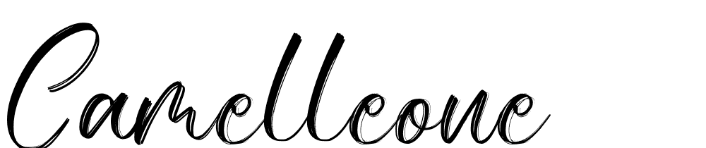 Camelleone font family download free