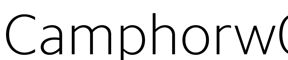 CamphorW01-Thin font family download free