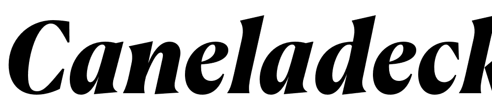 CanelaDeckTrial-BlackItalic font family download free