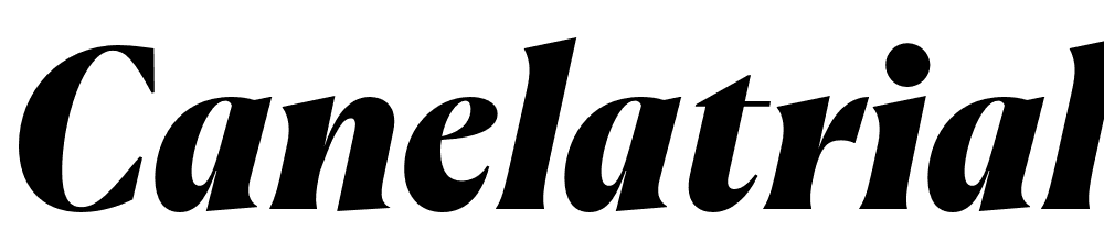 CanelaTrial-BlackItalic font family download free