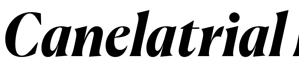 CanelaTrial-BoldItalic font family download free