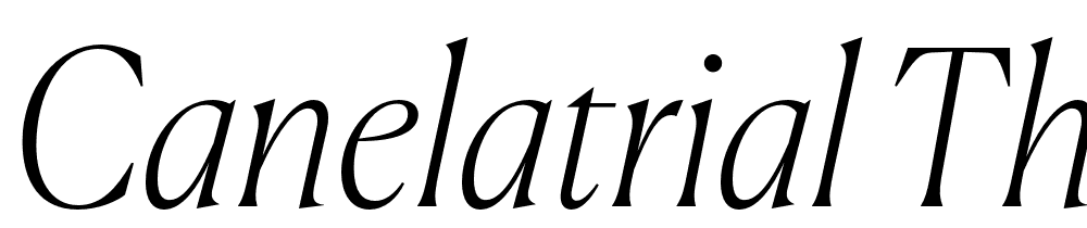 CanelaTrial-ThinItalic font family download free