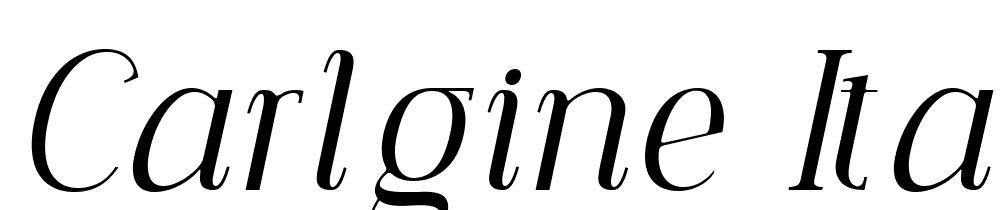 Carlgine-Italic font family download free