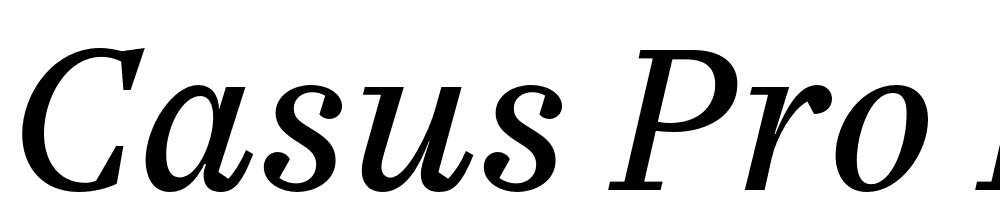 Casus-Pro-Book-Italic font family download free