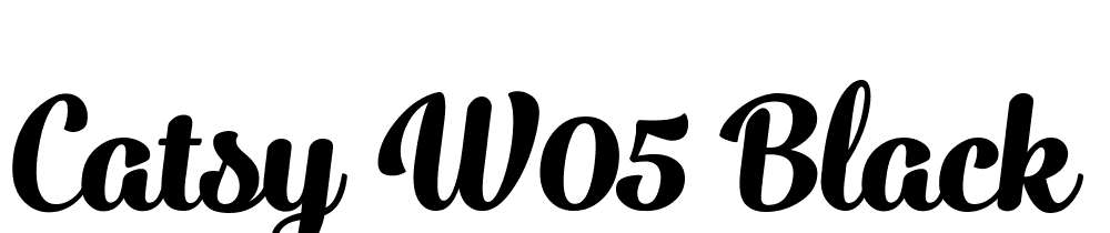 Catsy-W05-Black font family download free