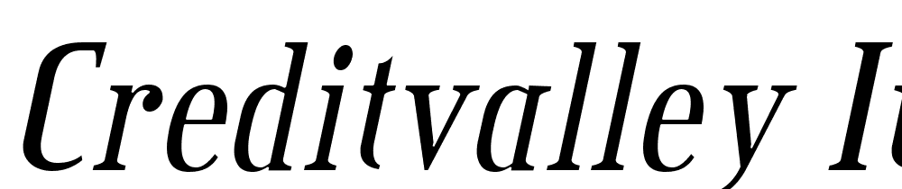 CreditValley-Italic font family download free