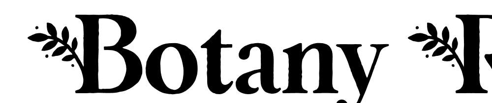  DEMO Botany Regular font family download free