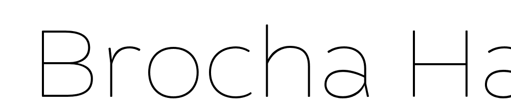  DEMO Brocha Hair Regular font family download free