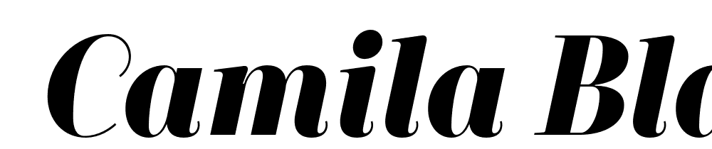  DEMO Camila Black It Regular font family download free