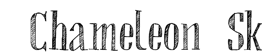  DEMO Chameleon Sketch Hatch Hatch font family download free