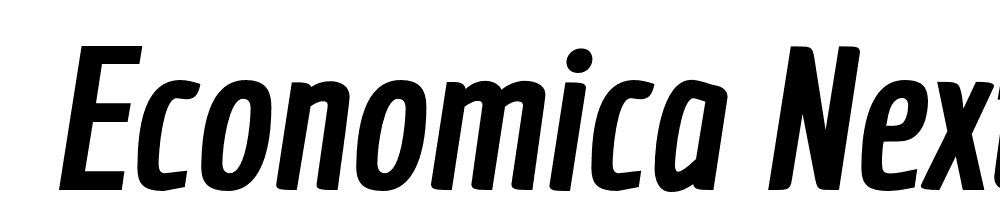  DEMO Economica Next 03 Black Italic font family download free