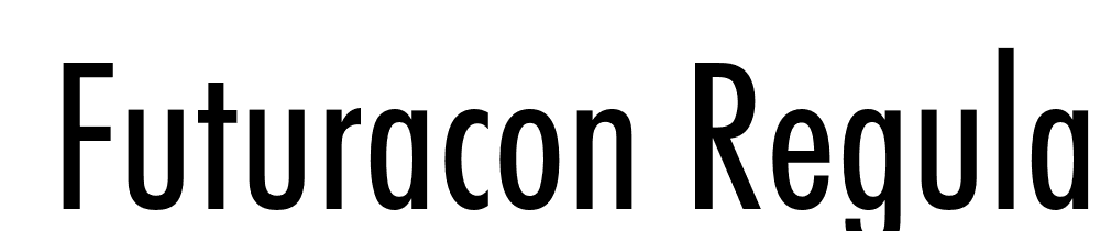  DEMO FuturaCon Regular font family download free