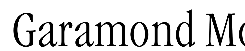  DEMO Garamond Modern FS Lt Regular font family download free