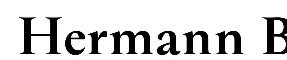  DEMO Hermann Bold Regular font family download free