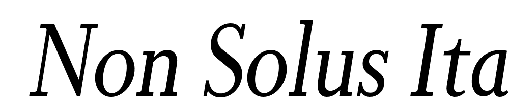  DEMO Non Solus Italic font family download free